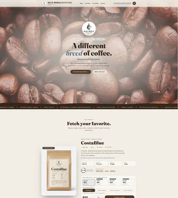 Blue Merle Roasters website preview